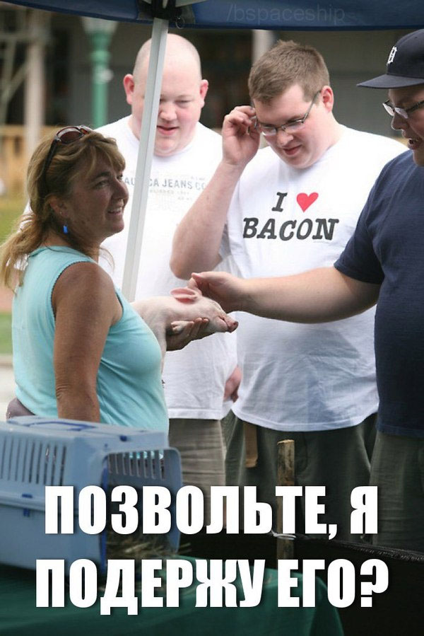 Подборка интересных и смешных картинок