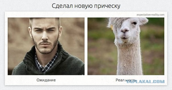 Жизнь в ожиданиях и реальности