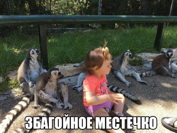 Интересные и веселые картинки