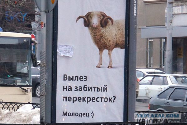 В Барнауле установили дорожные знаки, на которых водителей сравнили с животными
