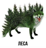 Немножко картинок