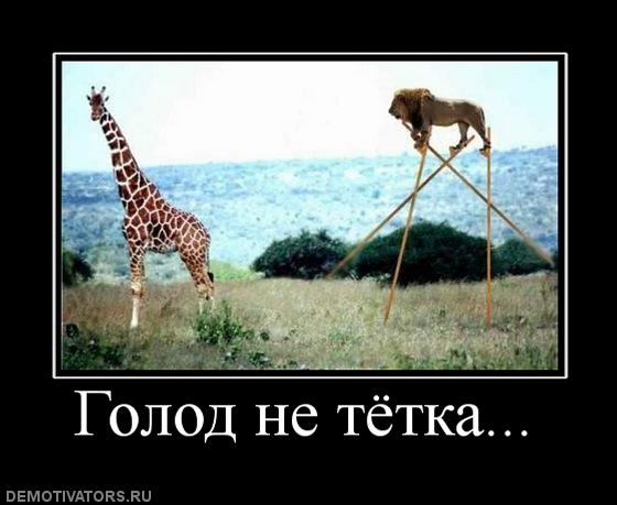 Как убивает голод. Пособие выживальщика хайлевел.