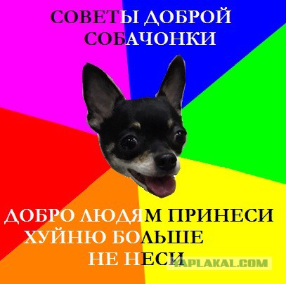 Родители учеников московской школы добились отмены православного курса «Истоки»