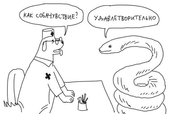 Тем временем в параллельной вселенной