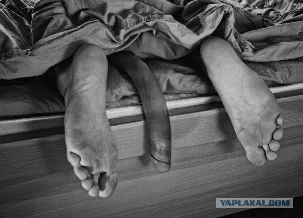 Подборка интересных и веселых картинок