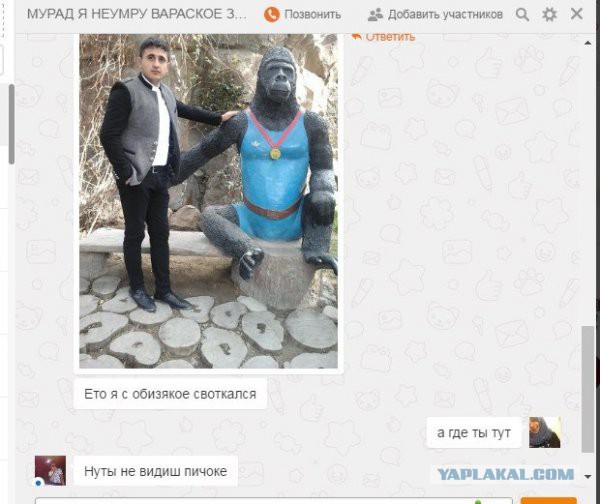 Привет из соцсетей