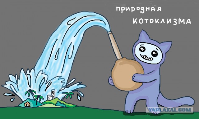 Йеллоустоун – действовать нужно срочно.