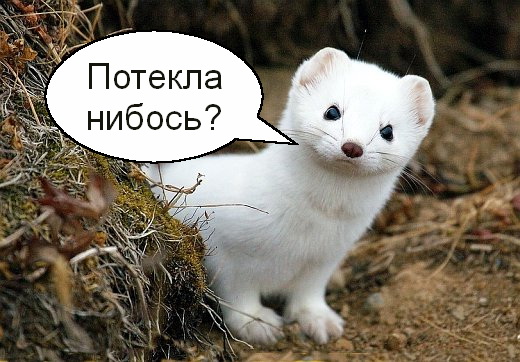 Дискриминация мужчин (размышления)