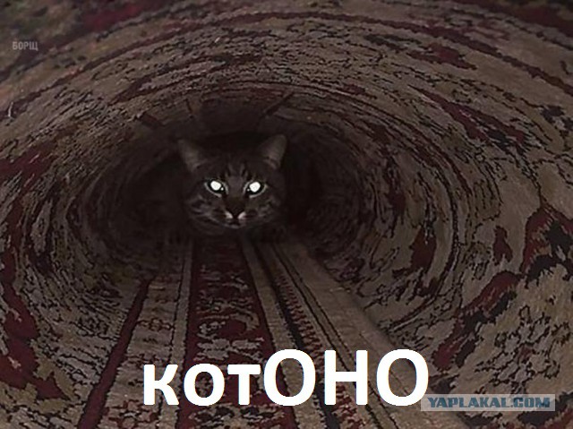 Подборка интересных и веселых картинок