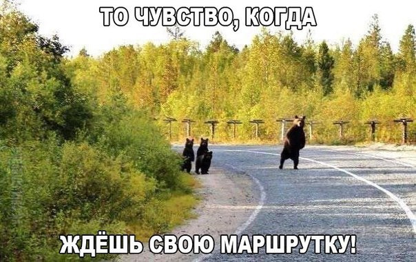 Просто юмор 17 (тяпничный)