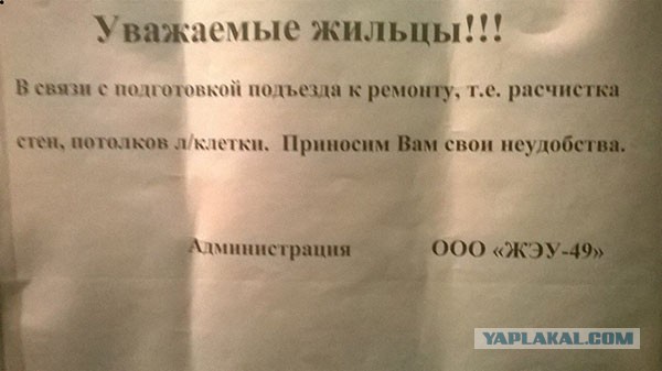 Прикольные надписи и объявления