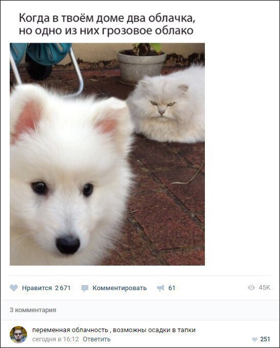 Нестандартный юмор