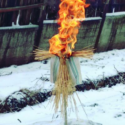 Итоги проверки пользователей