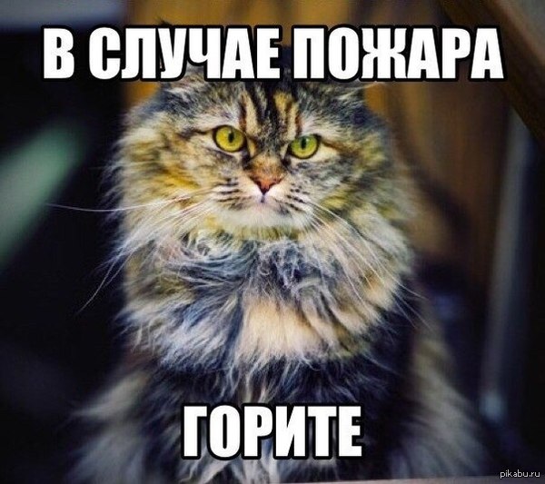 Когда твоего парня нет в соцсетях