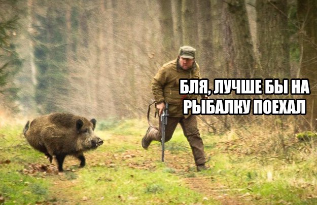 Нестандартный юмор