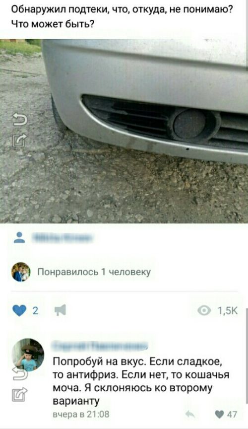 Немного картинок на вечер этой субботы