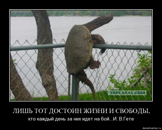 Операция "Троянский конь" стартовала