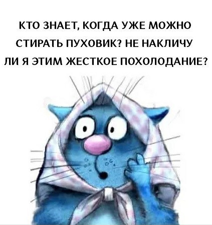 Картинки с надписями, истории и анекдоты