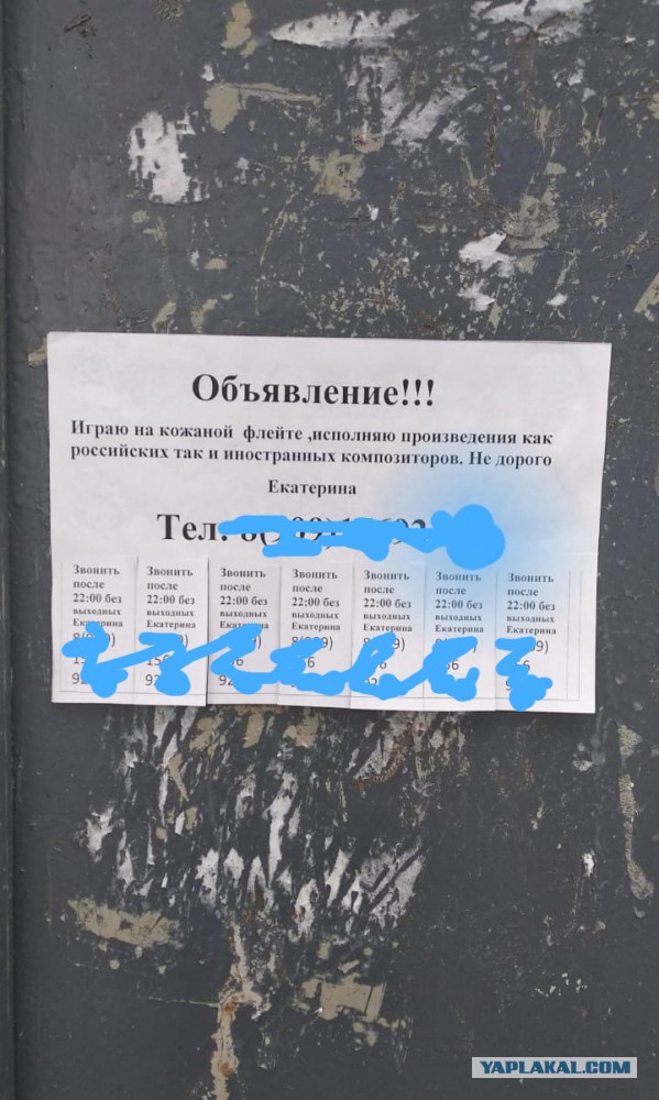 Бредзона