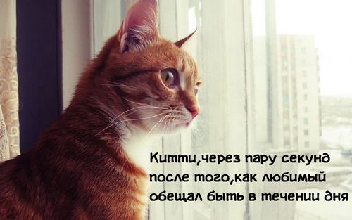 Чтожэто делается, товарищи дорогие! Бабы совсем мужикам жизни не дают!