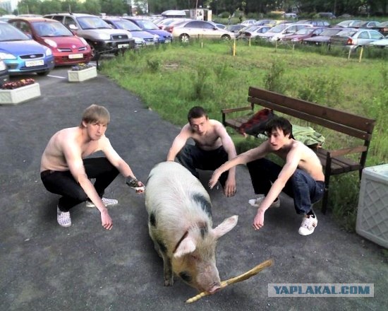 Дуэль по Фотожабе: Команда 1