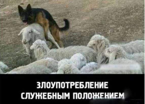 Немного картинок для настроения 04.07.20