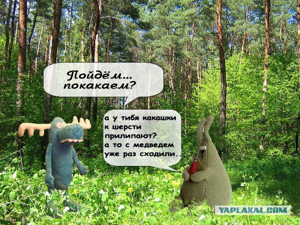 Удивительное рядом