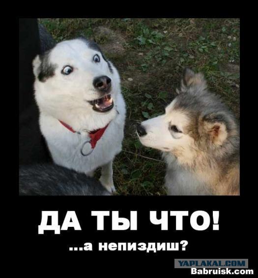 Анкета с сайта знакомств