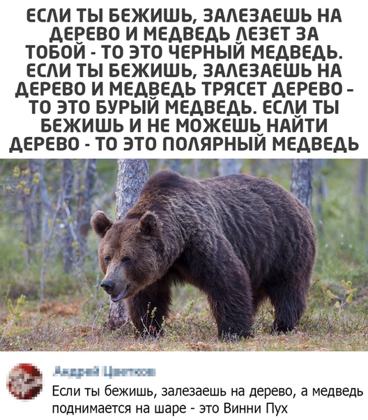 Юмор в картинках 18.10.20
