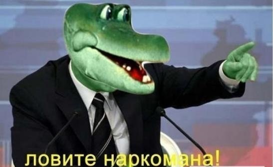 Не понимала, почему Виктор меня мышкой называет, пока не обнаружила целый зоопарк в его телефоне