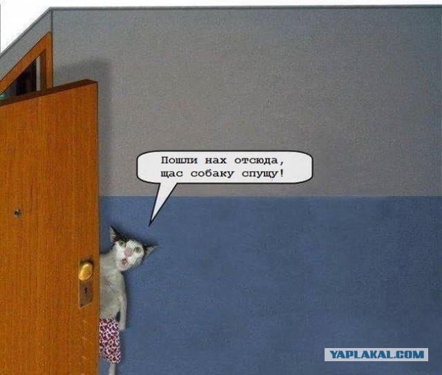 "Да заткнись ты уже, сколько раз говорить"