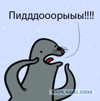Два нарушителя встретились