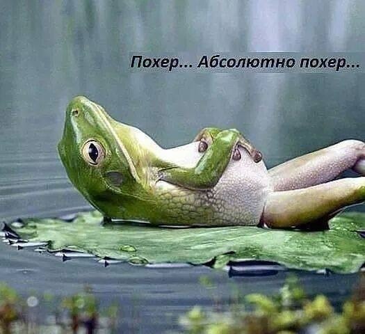 А хоть ЧТО-ТО еще работает в этой стране?