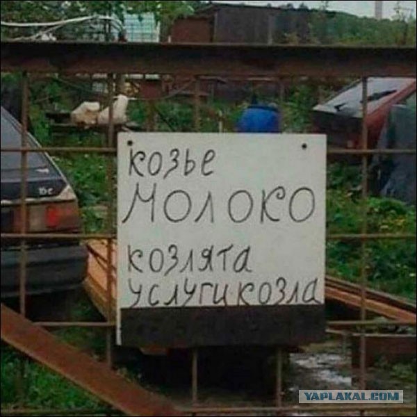 Разомнем перед пятницей упоротость