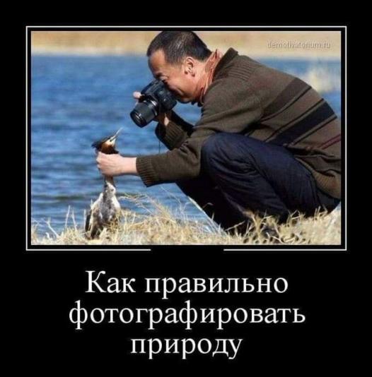Картинки и мемы для настроения 11.08.2021