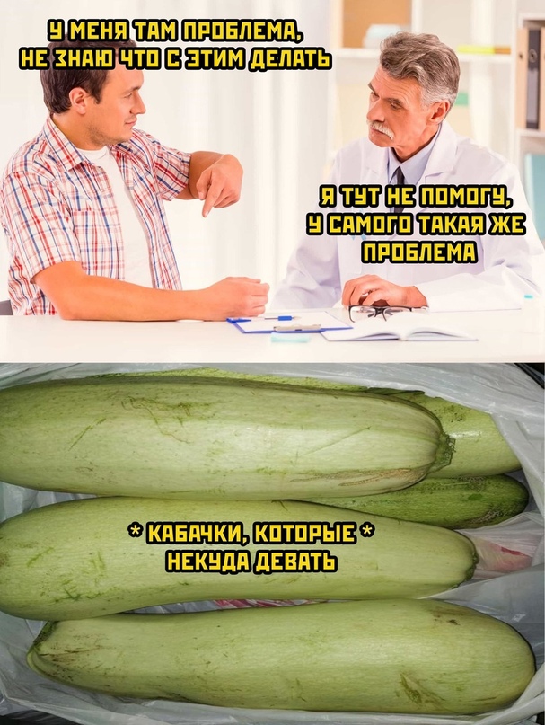 Весёлый полтишок 16.08