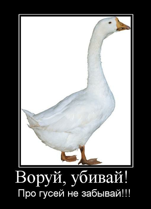 Оно приближается