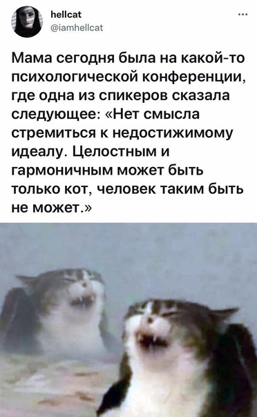 Картинки и мемы 08.10.2021