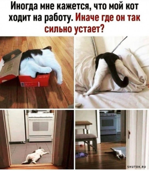 Так себе картинки 04.11.21