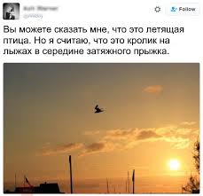 Так себе картинки 22.12.21