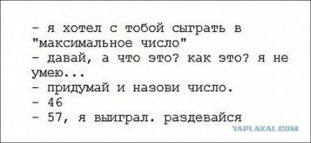 Весёлый полтишок 03.02