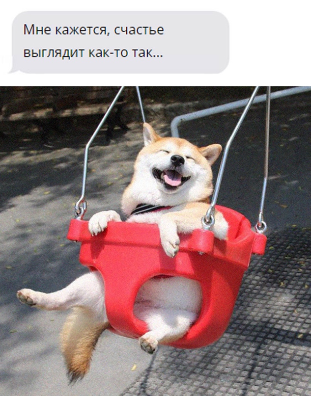 Картинки и мемы, всем хороших выходных
