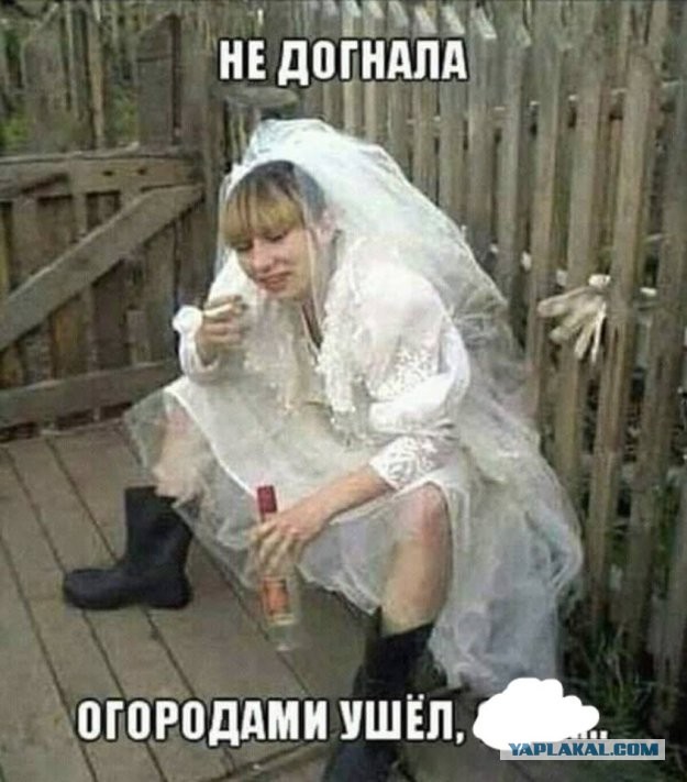 Сюда иди, обезьяна
