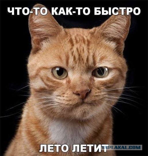 Немного картинок для настроения - 131