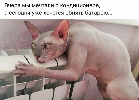 Женщины могут испытывать по три вида оргазма