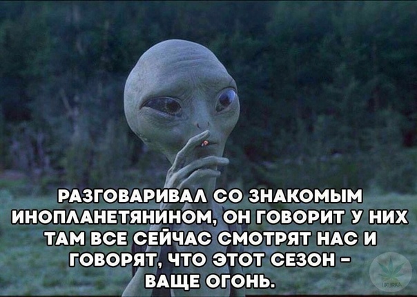 Путин ввёл уровень повышенной готовности на территориях Центрального федерального округа, в том числе в Москве