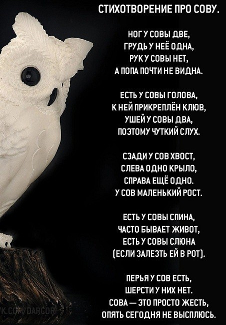 Юмор в картинках и без