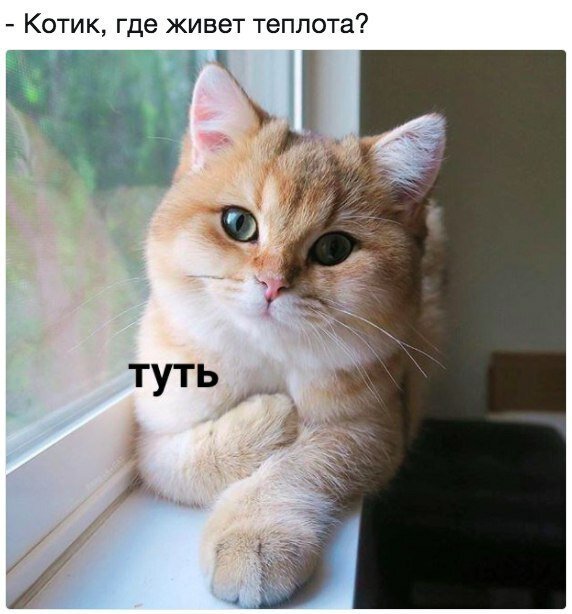 Четверг, который ПяТниЦоО!