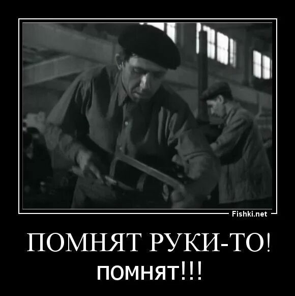 Вид картошки, грация кошки