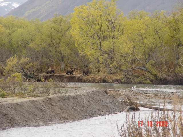 Петропавловск-Камчатский и его окрестности...